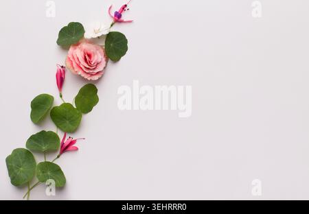 Rahmen von Setzlingen und kleine Rose isoliert auf weiß Stockfoto