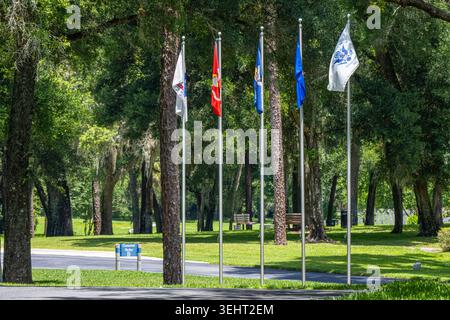 Flaggen für fünf US-Militäranlagen (Army, Marines, Navy, Air Force und Coast Guard) auf dem Florida National Cemetery in Bushnell, Florida. (USA) Stockfoto