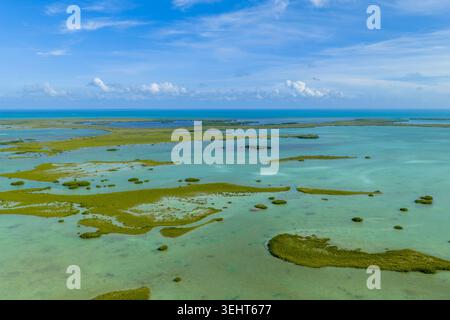 Wunderschöne Natur in Key West Florida Stockfoto