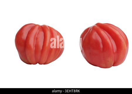 Ihre glatte Haut glänzt unter weicher Studiobeleuchtung. Die abgerundeten Formen der Tomaten deuten auf Frische und Reife hin Stockfoto