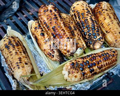 Gegrillter Mais auf dem Kolben, ein klassisches mexikanisches Street Food, wird an einem Imbissstand in Coyoacán, Mexiko-Stadt, gebraten Stockfoto