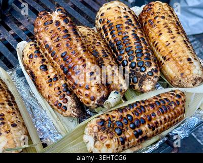 Gegrillter Mais auf dem Kolben, ein klassisches mexikanisches Street Food, wird an einem Imbissstand in Coyoacán, Mexiko-Stadt, gebraten Stockfoto