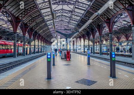 Hauptbahnhof Kopenhagen (Kobenhavns Hovedbanegard) Bahnsteig, Eisendach, Infrastruktur, Reisen Stockfoto