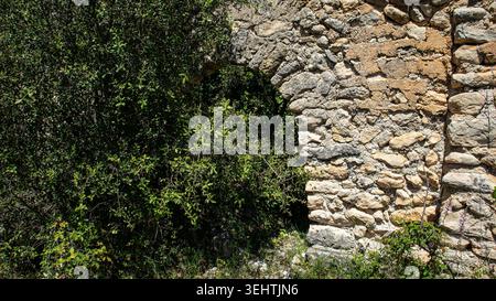 Eine bogenförmige Tür aus Steinblöcken steht versteckt in grünen Büschen. Diese Tür ist Teil der historischen Ruinen im Dorf Atzuvieta. Zeit Stockfoto