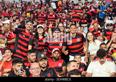 Rio de Janeiro, Brasilien - 23. Mai 2026: Fans beim Spiel zwischen Clube de Regatas do Flamengo und Sociedade Esportiva Palmeiras für die 17. Runde Stockfoto