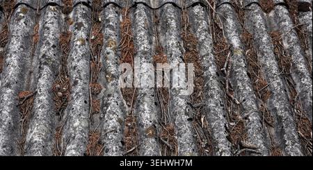 Nahtexturhintergrund alter verwitterter Asbestdächer mit Moosflecken. Stockfoto