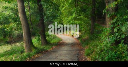 Wanderweg mit einer Bank in einem malerischen Park oder Wald. Üppige grüne Bäume in sanft leuchtendem, sanftem Licht und ruhiger Stimmung, eine Panoramablick auf die Natur. Stockfoto