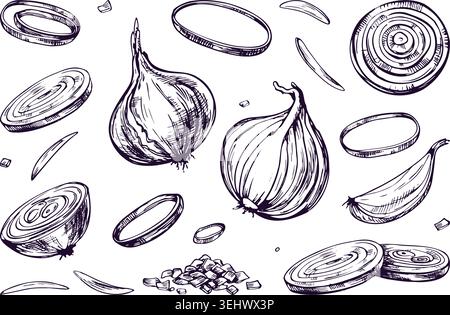 Set handgezeichneter Zwiebelillustrationen im Stile. Ganzes Gemüse, geschnittene Ringe und gehackte Stücke. Kulinarische Zutat für gesundes Kochen Stock Vektor