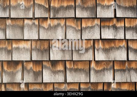 Nahaufnahme der grau verwitterten Schindeln auf einem typischen Cape Cod Gebäude. Stockfoto