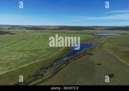 Aus der Vogelperspektive auf die weiten grünen Ebenen und einen dunkelblauen See unter klarem Himmel in der Waterberg District Municipality, Limpopo, Südafrika. Stockfoto