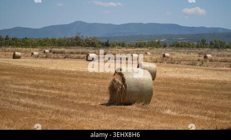 Runder Heuballen, der auf trockenem Feld auf dem Land ruht Stockfoto