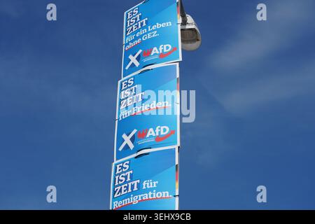 Potsdam, Deutschland - 8. September 2024: Wahlkampfplakate der AfD auf einem Laternenpfahl zur Brandenburger Landtagswahl. Stockfoto