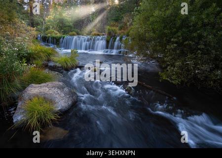 Fotografieren Sie das unberührte Wasser des Burney Creek direkt flussaufwärts vom Hauptabfall der Burney Falls im McArthur-Burney Falls Memorial State Park Stockfoto