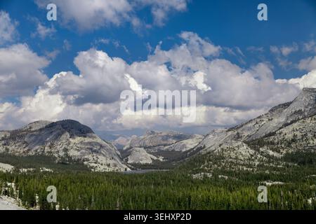 Ein atemberaubender Weitwinkelblick auf zerklüftete Granitgipfel, die sich über einen üppigen grünen Talwald unter einem bewölkten Himmel erheben Stockfoto