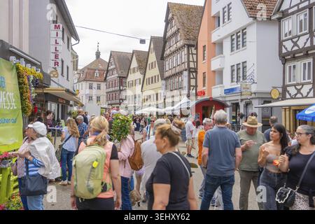 Ein lebhafter Markt im Stadtzentrum mit typisch deutschen Fachwerkhäusern, Nagold, Europamarkt und Gartenmesse, Bezirk Calw, Deutschland Stockfoto