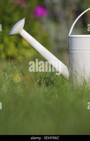 Alte Gießkanne aus Metall steht auf einer Wiese, Kempen, Viersen, Nordrhein-Westfalen Stockfoto