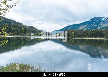 Malerischer Blick auf einen Bergsee durch zarte grüne Äste am Ufer. Ruhiges Wasser reflektiert Hügel und schwere dramatische Wolken Stockfoto