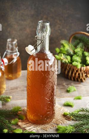 Eine Flasche hausgemachten Kräutersirup mit jungen Fichtenspitzen, die im Frühjahr geerntet werden Stockfoto