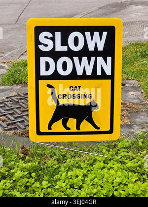 Fahren Sie Mit Dem Warnschild Cat Crossing In Der Nähe Der Wohnstraße Ab Stockfoto