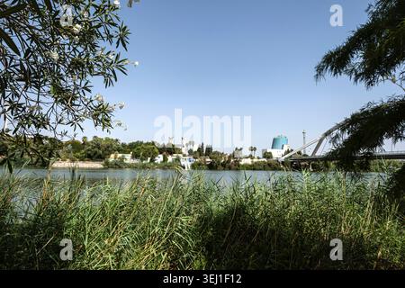 Der Guadalquivir Fluss in der Nähe der Alamillo Brücke Blick vom Paseo Juan Carlos I eingerahmt von üppiger Vegetation, Sevilla, Andalusien, Spanien Stockfoto