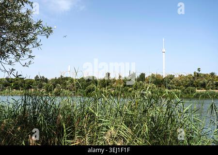 Blick auf den Fluss Guadalquivir in der Nähe der Brücke Alamillo von Paseo Juan Carlos I, Sevilla, Andalusien, Spanien Stockfoto