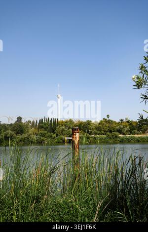Blick auf den Fluss Guadalquivir in der Nähe der Brücke Alamillo von Paseo Juan Carlos I, Sevilla, Andalusien, Spanien Stockfoto