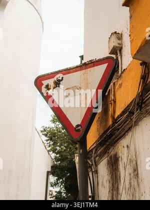 Blick auf ein verwittertes dreieckiges Verkehrsschild mit Hundeaufkleber auf einer schmalen Straße zwischen weißen und gelben Gebäuden in Cordoba, Andalusien, Spai Stockfoto