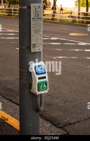 Fußgängertaste mit Symbolen für die Barrierefreiheit auf der Stadtstraße Stockfoto