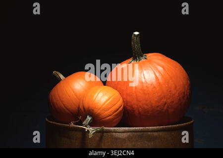 Knallige orangefarbene Kürbisse auf Metallfassade in dramatischer Beleuchtung. Herbststillleben mit Kürbis und saisonalem Erntekonzept Stockfoto