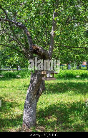 Rustikaler Gartenbaum mit handgefertigtem Holzvogelfutter in sonnigem Park Stockfoto