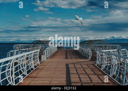 Pier mit Holzboden auf dem See und einer fliegenden Möwe am Sommertag Stockfoto