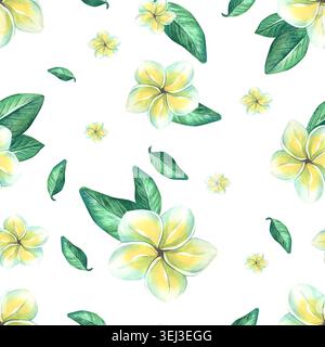 Plumeria Blumenmuster handgezeichnete Aquarellillustration. Tropische exotische Blüte nahtloser Hintergrund für Textildesign. Botanische Kunst mit Gelb Stockfoto