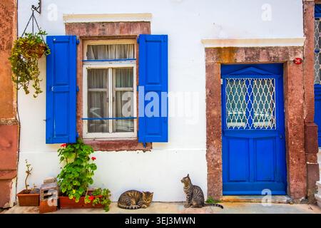 Ayvalik - Türkei, 17. Mai 2026, zwei niedliche Katzen von der lebhaften blauen Tür und den Fensterläden des traditionellen Cunda Island House Stockfoto