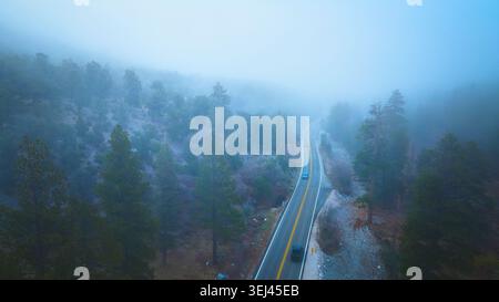 Aerial Misty Mountain Road und Pine Forest in der Nähe des Mt. Charleston Nevada Stockfoto