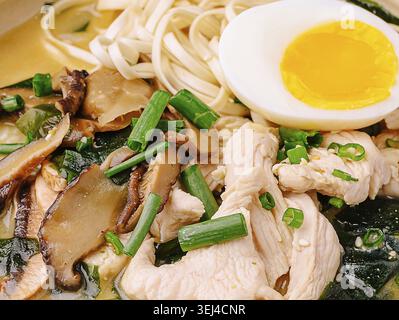 Eine herzhafte Schüssel besteht aus zarten Hähnchenstücken, frischen Nudeln, pikanten Pilzen und leuchtenden grünen Zwiebeln, garniert mit einem perfekt gekochten e Stockfoto