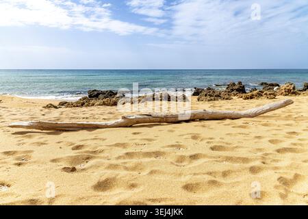 Ein Stück Treibholz liegt am Sandstrand in der Nähe von Portu Maga, Sardinien, mit felsiger Küste, türkisfarbenem Meer, sanften Wellen, und blauer Himmel Stockfoto