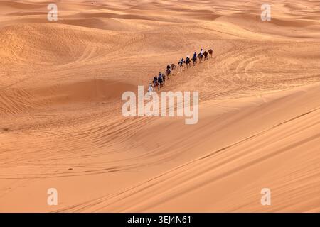 In Merzouga bewegt sich eine Kamelkarawane anmutig über die herrlichen Sanddünen von Erg Chebbi und zeigt die ruhige Schönheit der Wüste Stockfoto