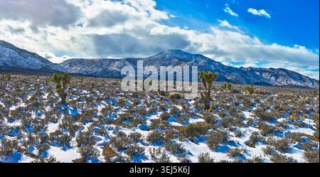 Panorama Schneebedeckte Wüste Joshua Bäume und Mount Charleston Winter Landschaft Stockfoto