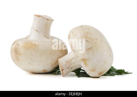 Champignon-Pilze und Petersilie isoliert auf weißem Hintergrund Stockfoto