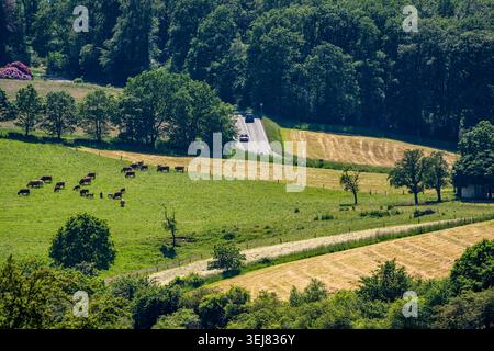 Landschaft in der Elfringhauser Schweiz, Blick hinunter vom Deilbachtal in Richtung Velbert, Nordrather Straße, Nordrhein-Westfalen, G Stockfoto