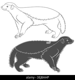 Satz von Schwarz-weiß-Illustrationen mit HonigDachs. Isolierte Vektorobjekte auf weißem Hintergrund. Stock Vektor
