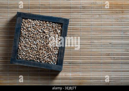 Ansicht von oben auf rohe Bio-Weizensamen in einem dunklen quadratischen Holzrahmen auf einer Bambusmatte. Konzeptionelles Bild für Ernte, Landwirtschaft und gesunde Ernährung W Stockfoto