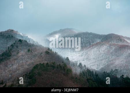 Nahaufnahme der bewaldeten Berge rund um Shirakawa-go in Japan, leicht bedeckt mit frischem Schnee. Weiches Winterlicht betont die Textur Stockfoto