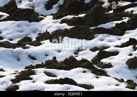 Nahaufnahme eines schneebedeckten Pflugfeldes mit dunklen Bodenflecken im Frühwintertauen Stockfoto
