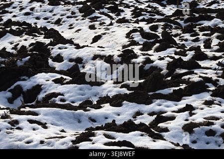 Schneebedecktes Pflugfeld mit dunklen Bodenflecken im frühen Winter Stockfoto