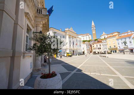 Piran, Slowenien. Mai 2026. Ein sonniger Tartini-Platz ist gesäumt von farbenfrohen Gebäuden und einem markanten Glockenturm. Man sieht Menschen beim Gehen und Essen Stockfoto