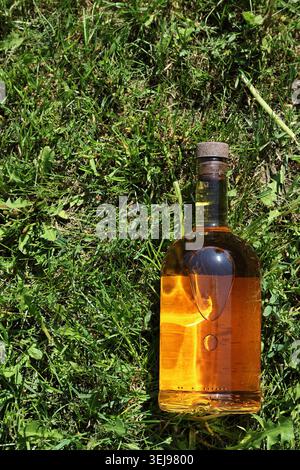 Eine klare Glasflasche gefüllt mit einem goldenen Bernsteinbrand und versiegelt mit einem rustikalen Korkstopfen, der auf frischem grünen Rasenrasen unter hellem Sonnenlicht liegt. Th Stockfoto