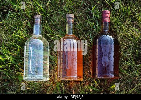 Eine Hochwinkelaufnahme von drei Glasflaschen gefüllt mit klarem, bernsteinfarbenem und dunklem Alkohol, die in einer Reihe auf grünem Gras mit Kondensationstropfen stehen. Diese c Stockfoto