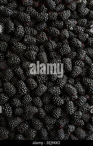 Eine reichhaltige, strukturierte Nahaufnahme reifer Brombeeren – dunkel, glänzend und voller Sommergeschmack. Stockfoto