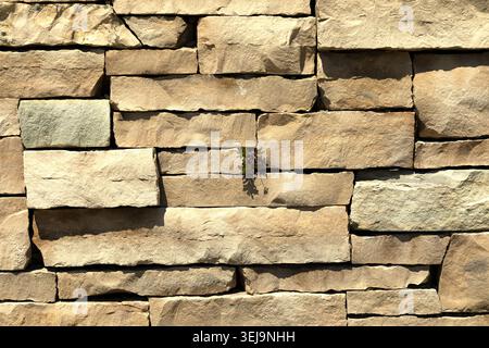 Detail der Natursteinmauer. Stockfoto